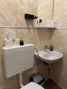 a bathroom with a toilet and a sink at Apartmani Luciano in Novalja
