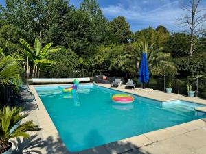 a swimming pool with a toy in the middle at Villa Toulousaine in Grisolles