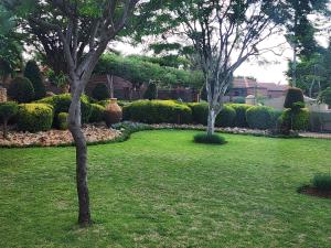 dos árboles en un patio con césped y arbustos en Sable woods, en Pretoria