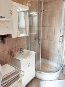 łazienka z prysznicem i umywalką w obiekcie Zagreb Creative Apartments APP 4 w Zagrzebiu +8 zdjęć