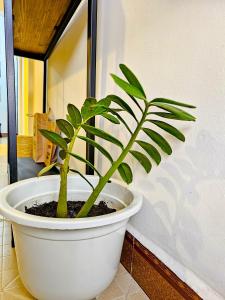 Gallery image of Fly Africa Village in Arusha +18 photos