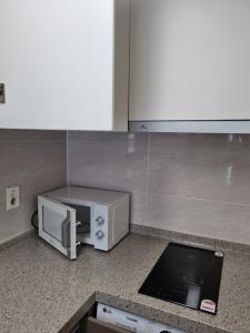 eine Mikrowelle auf einer Küchentheke in der Unterkunft Sokcho Koaroo Arista in Sokcho