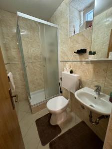 a bathroom with a toilet and a shower and a sink at Apartmani Luciano in Novalja