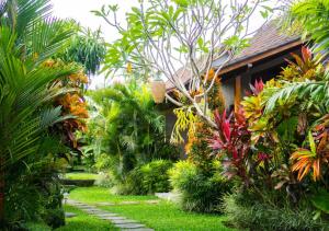 Green Coconut Cottage外面的花园
