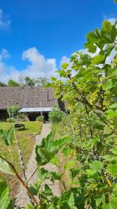 Κήπος έξω από το Bergsuite Schwarzwald +38 φωτογραφίες