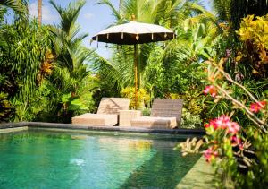 Green Coconut Cottage外面的花园