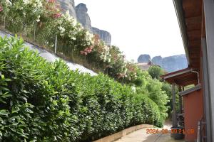 Zahrada ubytování Hotel Meteora