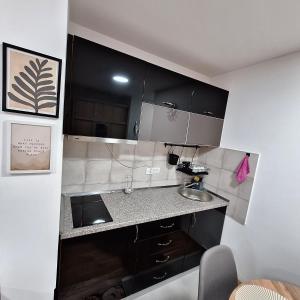 Køkken eller tekøkken på Studio apartman Delight Vrnjačka banja