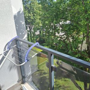 En balkon eller terrasse på Studio apartman Delight Vrnjačka banja