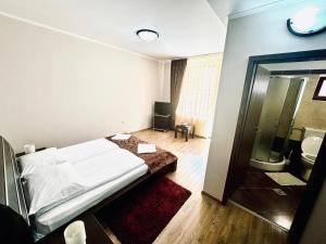 Postel nebo postele na pokoji v ubytování Pensiunea Amnesia