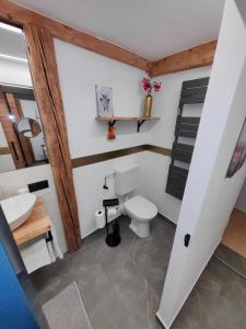 Vannituba majutusasutuses Haus Groder