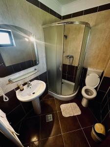 Koupelna v ubytování Pensiunea Amnesia + 22 fotografií