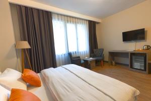 TV a/nebo společenská místnost v ubytování Grand royal hotel + 31 fotografií