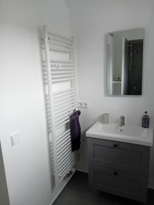 a bathroom with a sink and a mirror at Lind-Appartments in Villach