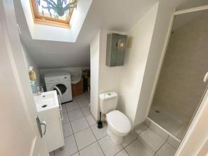 a small bathroom with a toilet and a sink at Le nid citadin - avec place de parking in Tours