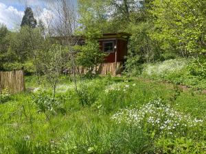 Zahrada ubytování Kuscheliger Zirkuswagen im Wildgarten