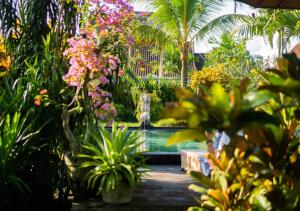 Green Coconut Cottage外面的花园