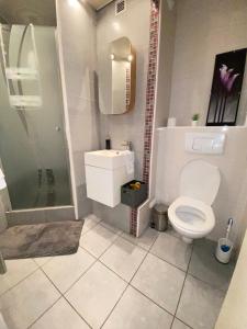 a bathroom with a toilet and a shower and a sink at Appartement lumineux 4 personnes in Enghien-les-Bains