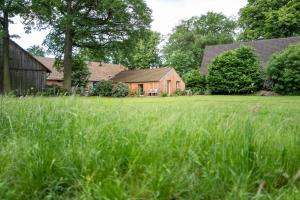 a field of tall green grass in front of a barn at AMTENBRINKSHOF Appartements in Gütersloh