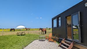 ein schwarzes kleines Haus mit Pferden auf einem Feld in der Unterkunft Tiny House La Cavalerie, au milieu des chevaux ! in Annouville-Vilmesnil + 13 Fotos