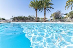 a swimming pool with palm trees in the background at Oasis con piscinas y jardines en Maspalomas in Maspalomas