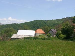 Loodusmaastik of the country house lähedal
