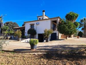 a house with palm trees in front of it at Casa Albarracín in Setenil