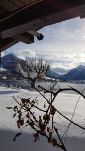 a tree in the middle of a snow covered field at Ferienwohnungen am See _ Hinterseer in Schliersee +13 photos