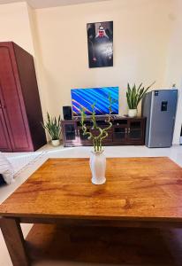 TV a/nebo společenská místnost v ubytování Luxury Home Sea View + 3 fotografie