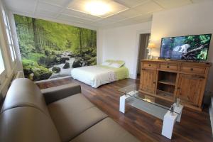 a living room with a bed and a tv and a couch at L'Appartement - Cœur de Riquewihr - 2 à 4 personnes in Riquewihr