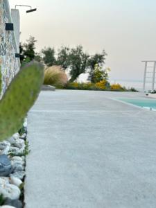 Imagen de la galería de Villa Koukounaria, en Skopelos Town