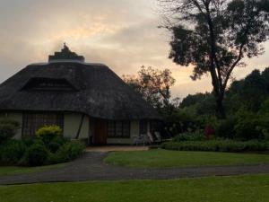a house with a thatched roof in a garden at Champagne Lane Resort in Champagne Valley +13 photos
