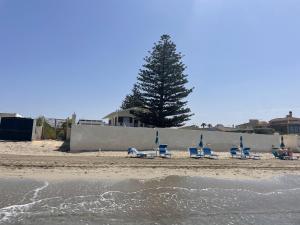 Φυσικό τοπίο κοντά σε αυτό το bed & breakfast