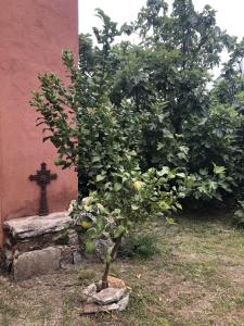 Zahrada ubytování El refugio