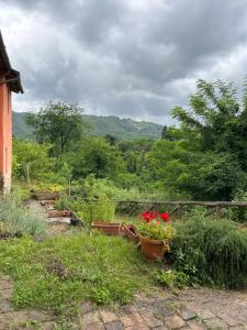 Γενική θέα στο βουνό ή θέα στο βουνό από  αυτό το bed & breakfast