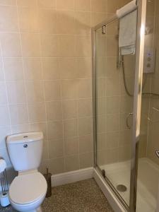 a bathroom with a toilet and a shower at The Northdale Hotel Ltd in Skegness