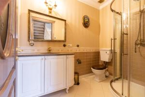 a bathroom with a toilet and a shower at Sofijos apartamentai in Klaipėda