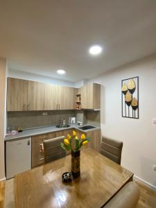 Η κουζίνα ή μικρή κουζίνα στο Rtanj