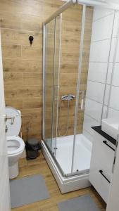 a bathroom with a shower and a toilet at Royal Villa - HAWAII in Vrnjačka Banja