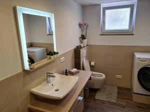 a bathroom with a sink and a toilet and a mirror at Apartment am Grimmsteig in Nieste +25 photos