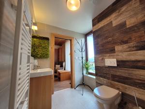 Gallery image of Chalet ASKALA JASNÁ 3 in Demanovska Dolina +61 photos