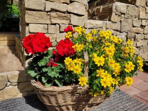 Zahrada ubytování Chalet SCALA 3 JASNÁ