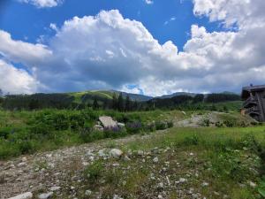 Příroda nedaleko apartmánu