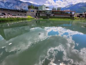 Příroda nedaleko apartmánu