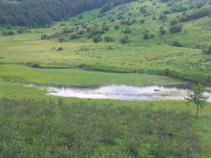 a field with a lake in the middle of a field at Jezerca Wild Beauty in Pluzine +1 photo