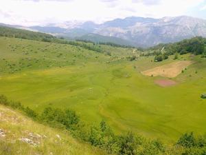 a green field with mountains in the background at Jezerca Wild Beauty in Pluzine