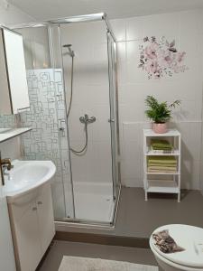 Koupelna v ubytování Apartment Igralište Mirakul