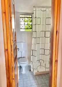 a bathroom with a toilet and a shower curtain at Betsanis Stafylos Apartments in Stafylos