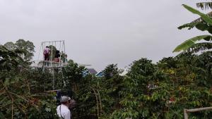 Afbeelding uit fotogalerij van Penginapan Remaja in Sarangan