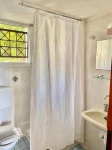 a bathroom with a shower curtain and a sink at Betsanis Stafylos Apartments in Stafylos